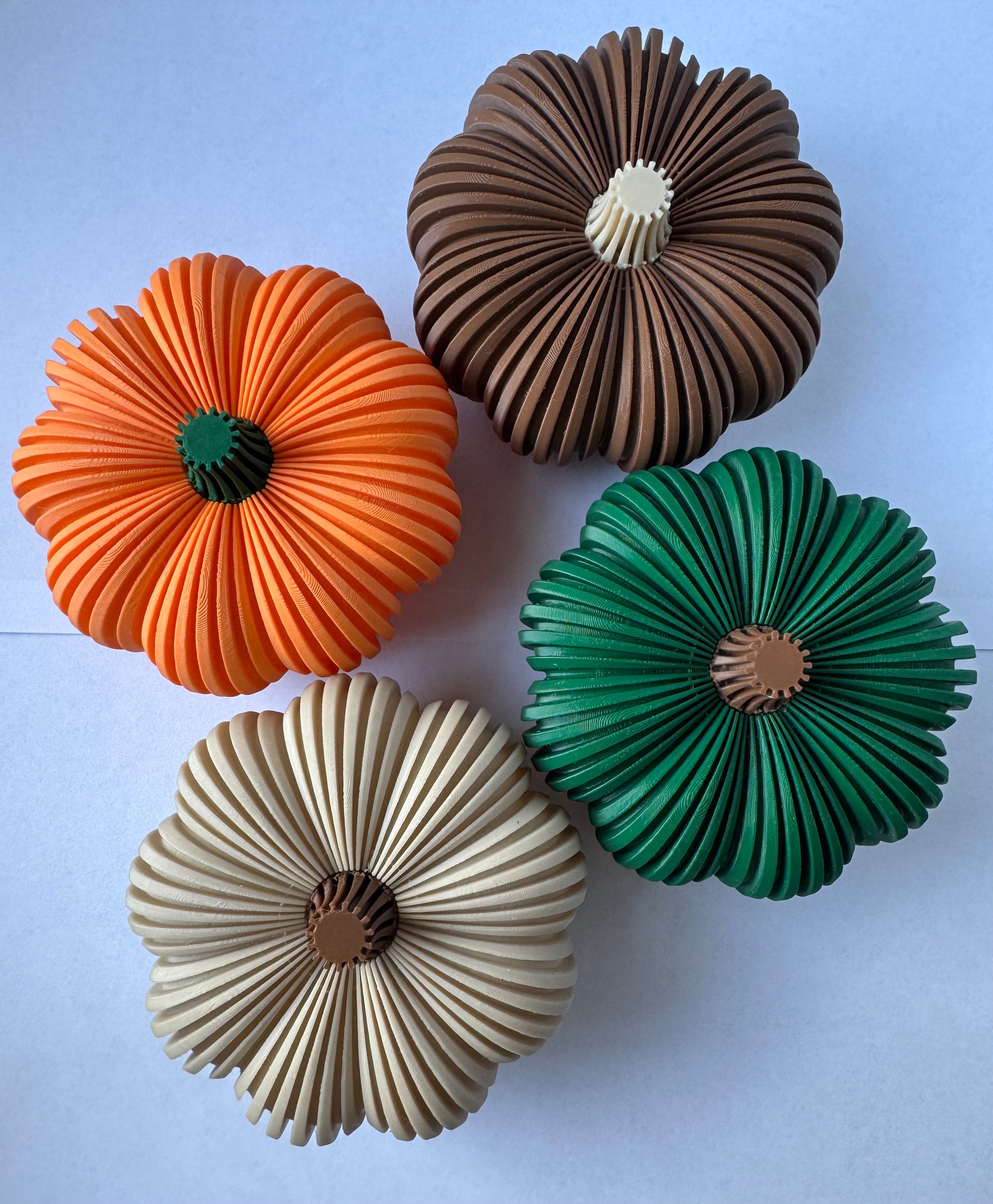 Decoratieve pompoen