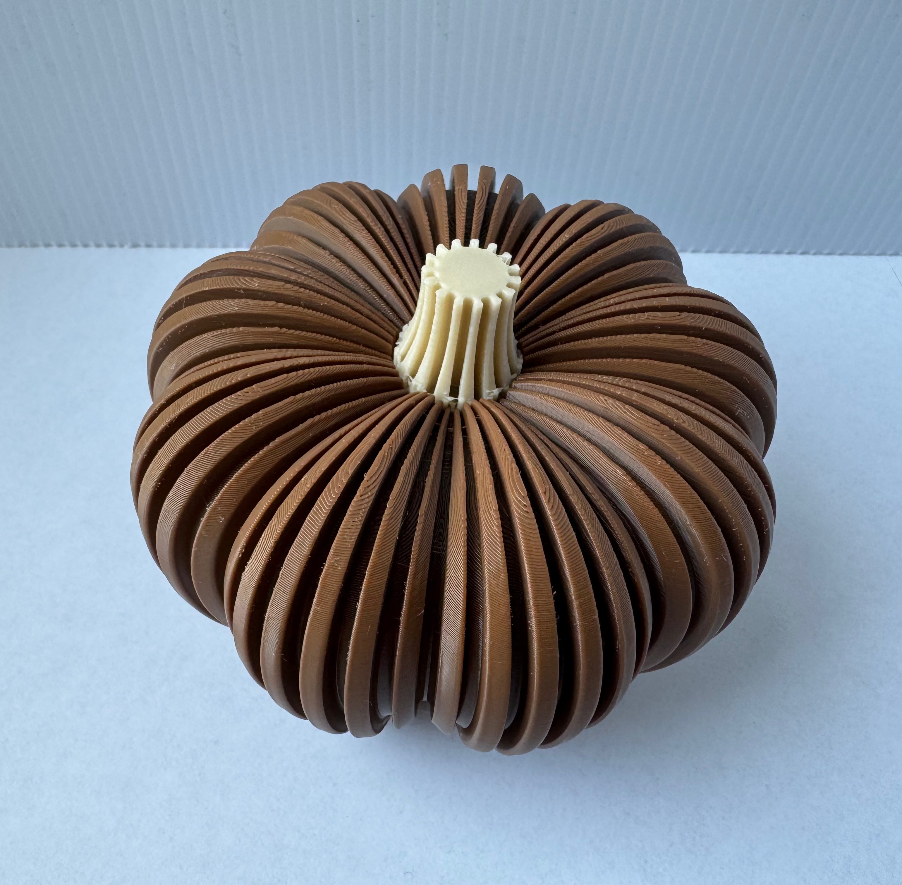 Decoratieve pompoen
