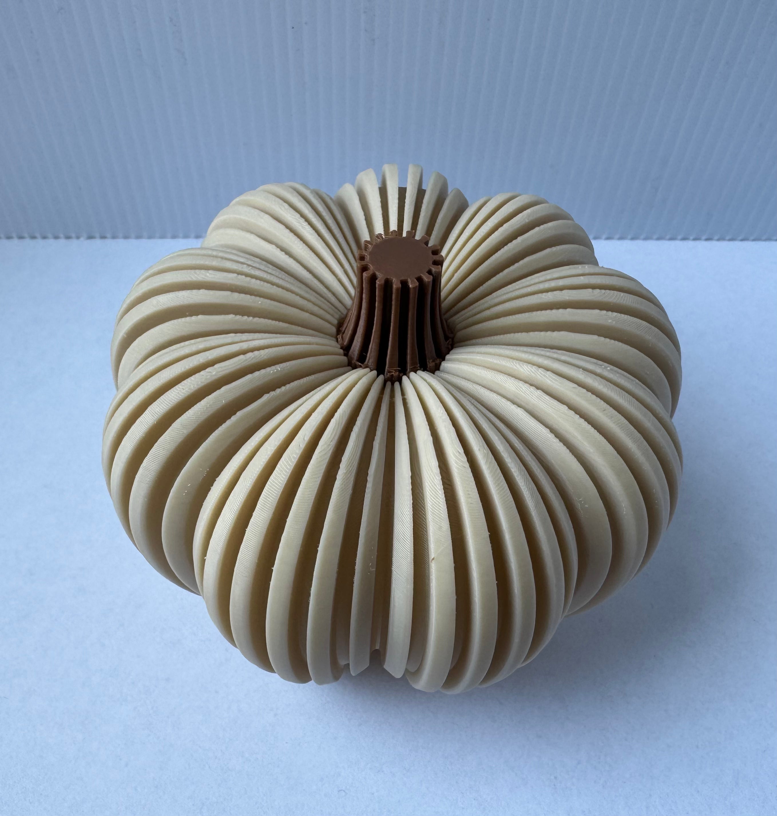 Decoratieve pompoen