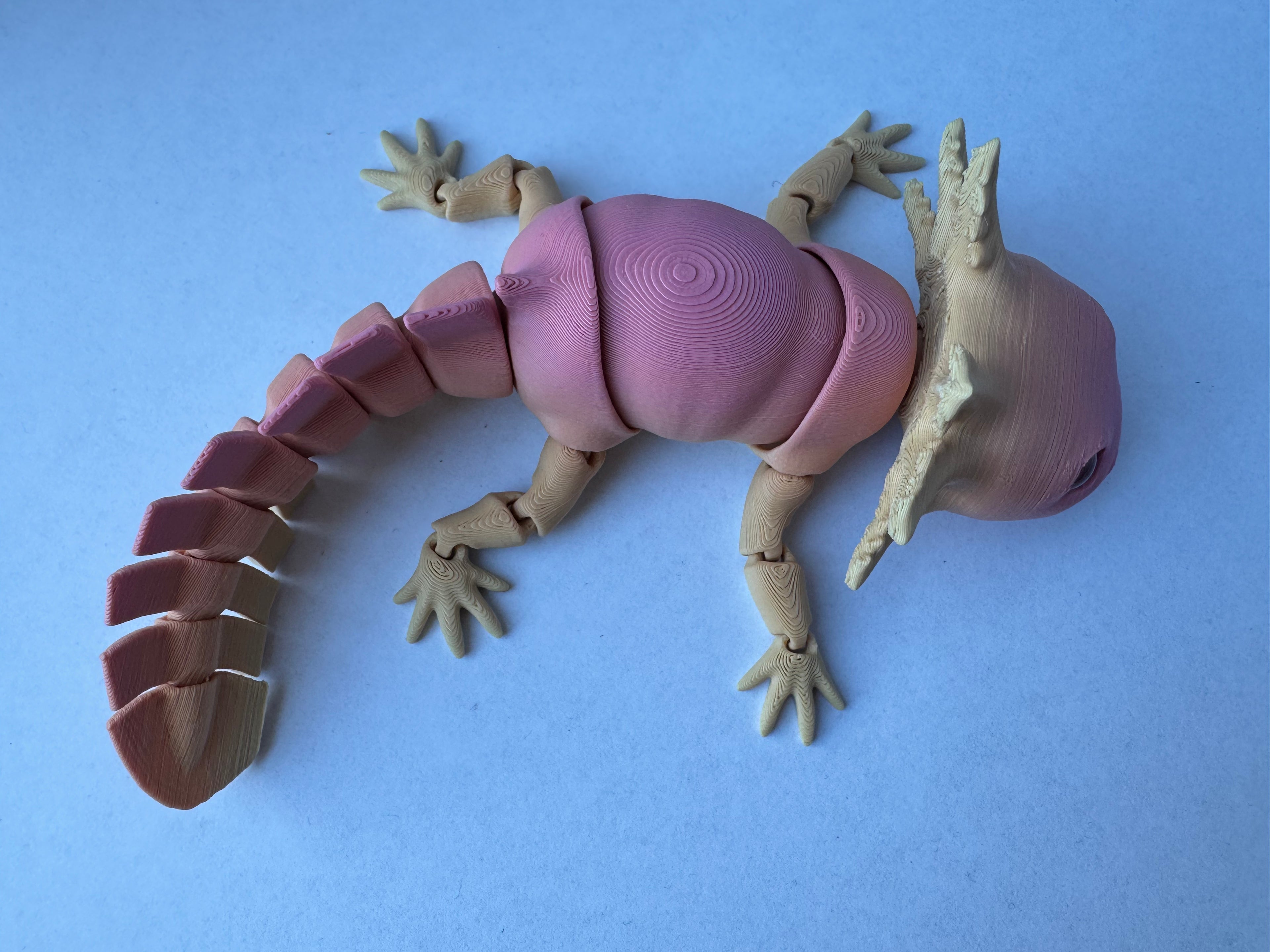 Articulated Axolotl fidget toy