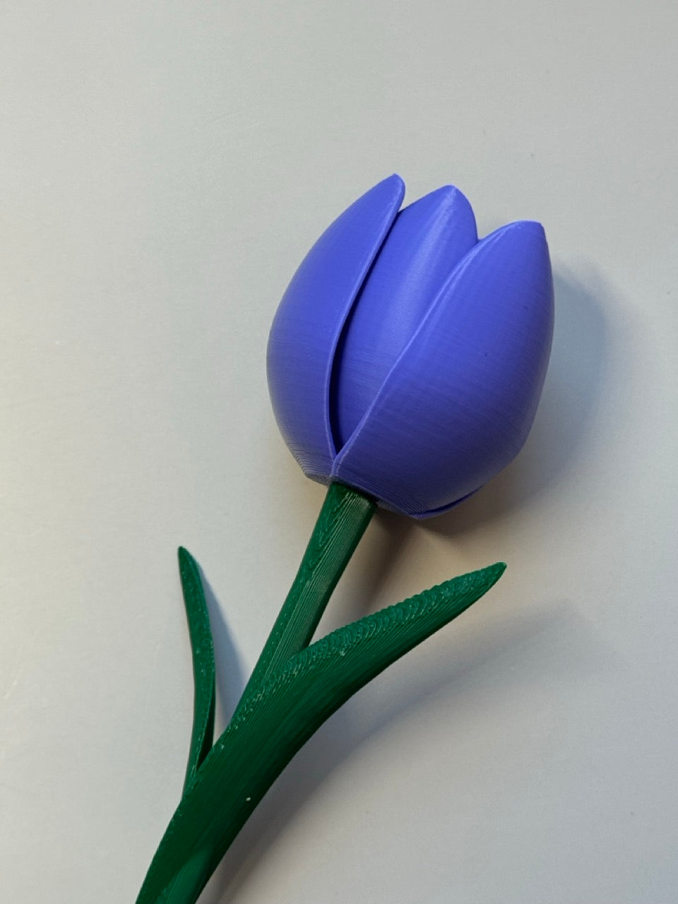 Bosje tulpen