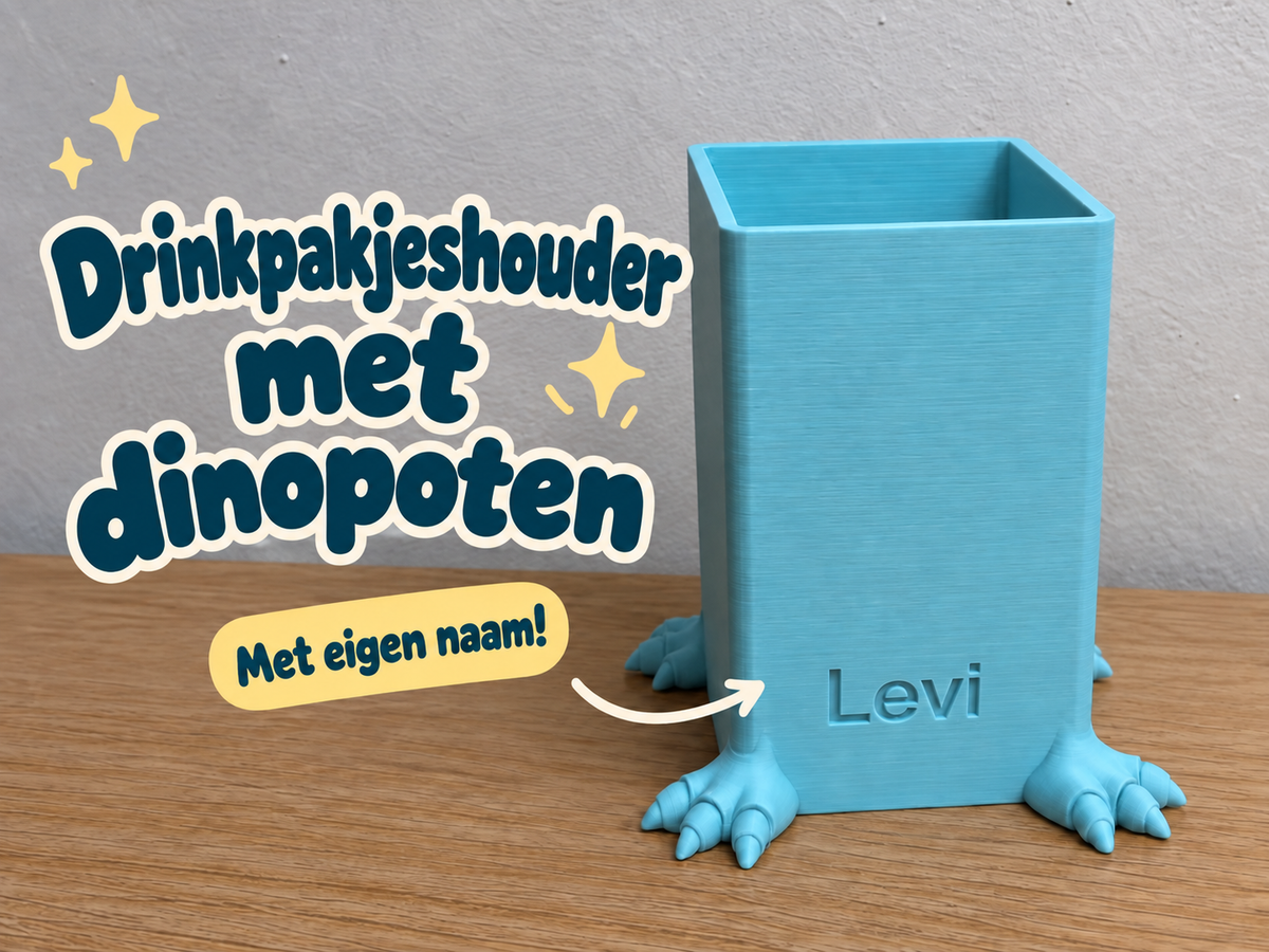Pakjeshouder dinosaurus met aanpasbare naam